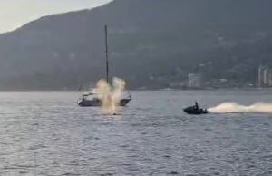 Vídeo captura baleia cinzenta sendo atingida por Sea-Doo em Vancouver