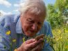 Uma retrospectiva do trabalho de David Attenborough quando ele completa 100 anos