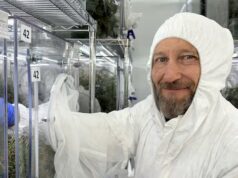 Instalação de biocontrole visa floresta invasora que ameaça insetos