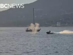 O que os velejadores de BC devem saber antes de entrar na água, após o ataque da Sea-Doo às baleias
