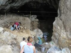 Os neandertais podem ter se interessado pela odontologia há 59 mil anos