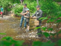 Pêche en herbe: para preparar o alívio