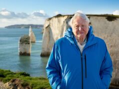 Feliz 100º aniversário, Sir David Attenborough: 5 de seus melhores documentários que você deve ver
