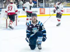 Saguenéens contre Wildcats: análise das forças em presença em vista do last do LHJMQ