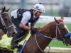Direito à festa eliminado do Kentucky Derby