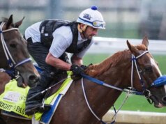 Direito à festa eliminado do Kentucky Derby