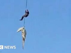 Policial é baixado em rio infestado de crocodilos para recuperar restos humanos