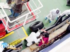 Navio de cruzeiro com surto de hantavírus navegará para as Ilhas Canárias