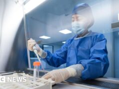 Cientistas do Reino Unido desenvolvem vacina contra o Ebola que pode estar pronta para testes em meses