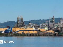 Um morto e outros desaparecidos após explosão química em fábrica de papel nos EUA