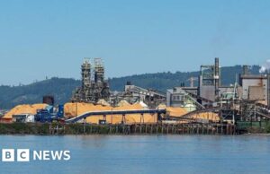 Um morto e outros desaparecidos após explosão química em fábrica de papel nos EUA