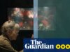 Crítica de Notavelmente Vivid Creatures – Sally Subject se une ao polvo no gentil charme da Netflix