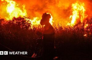 Alerta de temperaturas globais recordes à medida que aumenta a possibilidade de um El Niño muito forte