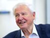 Nova espécie de vespa com o nome de Sir David Attenborough em seu 100º aniversário