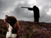 Cachorro atira em mulher em Nebraska