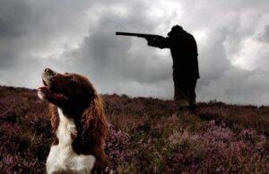 Cachorro atira em mulher em Nebraska