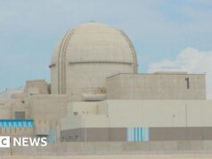 Emirados Árabes Unidos relatam ataque de drone perto da usina nuclear de Abu Dhabi