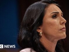 Tulsi Gabbard renunciará ao cargo de diretor de inteligência nacional dos EUA