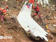 Acidente mortal de avião na China foi causado por corte de combustível, diz relatório