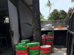 Auxiliares de sede para animais de rua