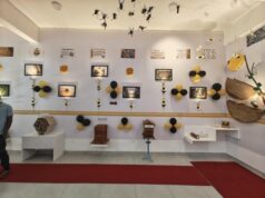 Este novo museu em Shivamogga educa as pessoas sobre abelhas e apicultura