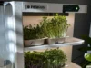 Revisão automatizada do jardim interno de microgreens da InstaFarm: fácil ser verde
