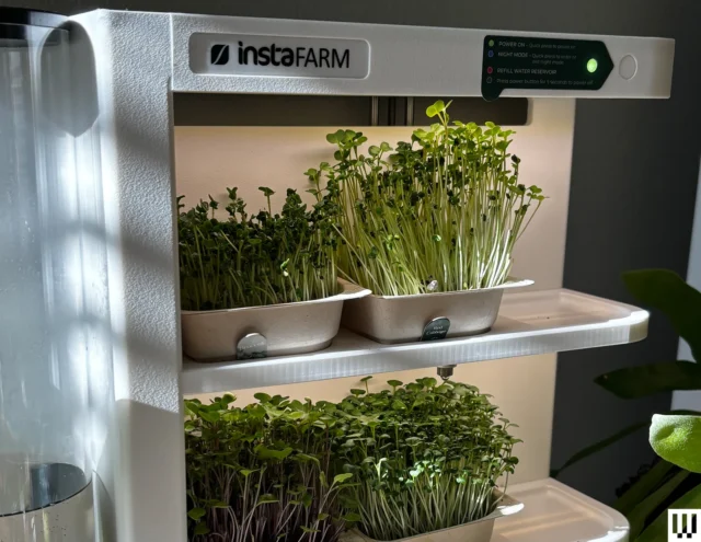 Instafarm2520Automated2520Indoor2520Microgreens2520Garden2520plenty2520of2520greens2520crop.webp