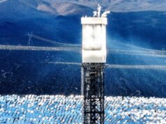 Reguladores permitem que usina photo voltaic da period Obama mate milhares de pássaros anualmente, descobriu investigação
