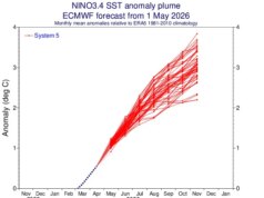 Probability de El Niño ‘Tremendous’ se aproximar de 100%, preparando o cenário para o ano mais quente já registrado