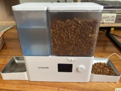 Estes 11 comedouros automáticos para gatos foram os melhores que testamos em 2026
