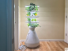 Este atraente jardim interno está com 20% de desconto agora