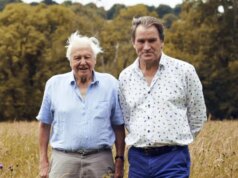 ‘Eu trabalho com David Attenborough – as pessoas não sabem o que ele faz nos bastidores’