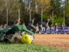 Técnico de softball da UAB sob investigação em meio a alegações chocantes de socos em jogadores, comentários racistas e abusos