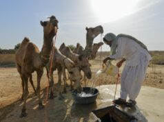 Novidades em Molduras | Trazendo água para um deserto escaldante