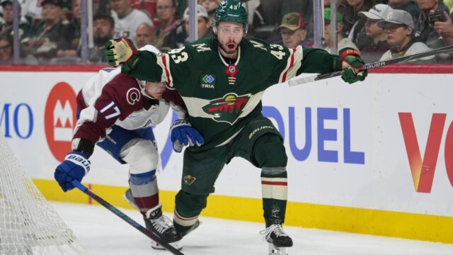 Wild.jpg