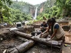 Uma estrutura de madeira de 476.000 anos encontrada em Kalambo Falls está mudando a história da humanidade