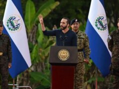 O presidente amante do Bitcoin de El Salvador supostamente congelou ativos de meios de comunicação locais