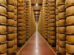 O cofre do Parmigiano: como os “bancos de queijo” italianos impulsionam uma indústria de 4 mil milhões de euros