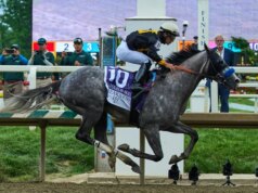 Napoleon Solo vence Preakness Stakes em Laurel Park
