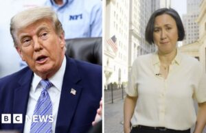 Por que milhares de negociações de ações vinculadas a Trump estão causando espanto