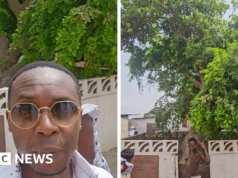 ‘Esta árvore foi plantada por meu ancestral há centenas de anos e minha família se estabeleceu aqui’