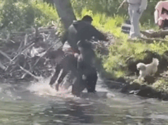 Castor raivoso ataca menino que pescava no lago de Nova Jersey, levando autoridades de saúde a alertar os moradores