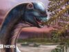 Novo dinossauro gigante identificado a partir de fósseis na Tailândia