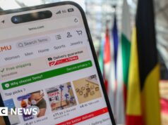 UE multa Temu em 200 milhões de euros por permitir a venda de produtos ilegais