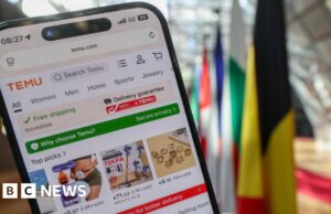 UE multa Temu em 200 milhões de euros por permitir a venda de produtos ilegais