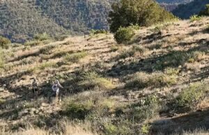 Um grande incentivo para uma ultramaratona de 400 quilômetros no Arizona