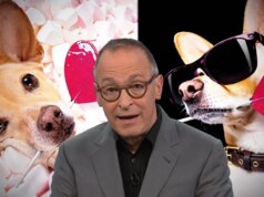 David Sedaris sobre cães e as pessoas que são obcecadas por eles