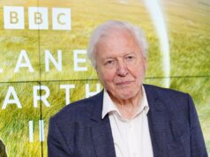 Sir David Attenborough ‘completamente impressionado’ com os cumprimentos de aniversário