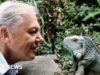 David Attenborough diz que está “oprimido” pelas mensagens do 100º aniversário