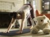 O Roomba Inventor agora quer que você possua um animal de estimação robô com IA